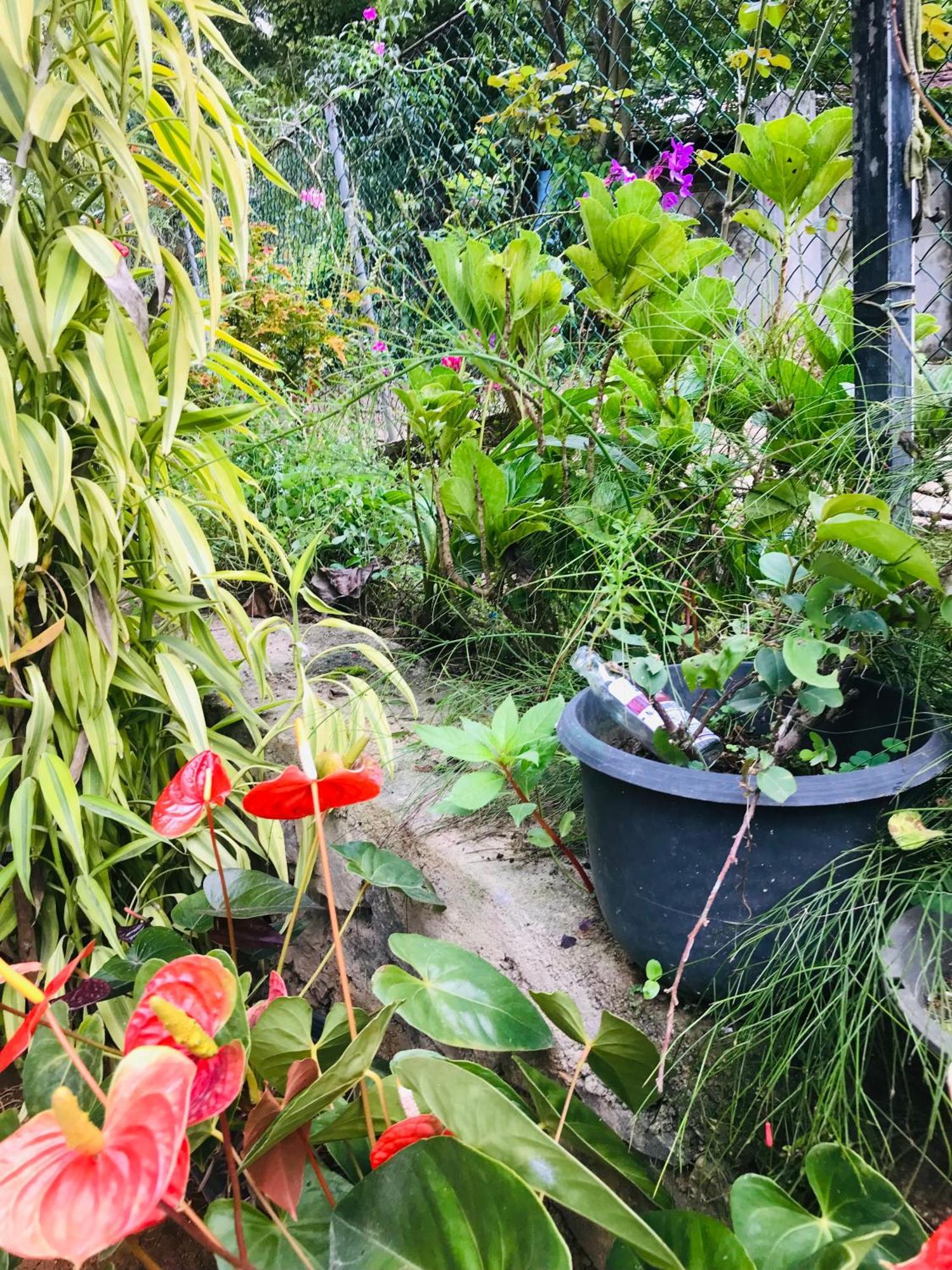 Cinnamon Homestay Елла Екстер'єр фото
