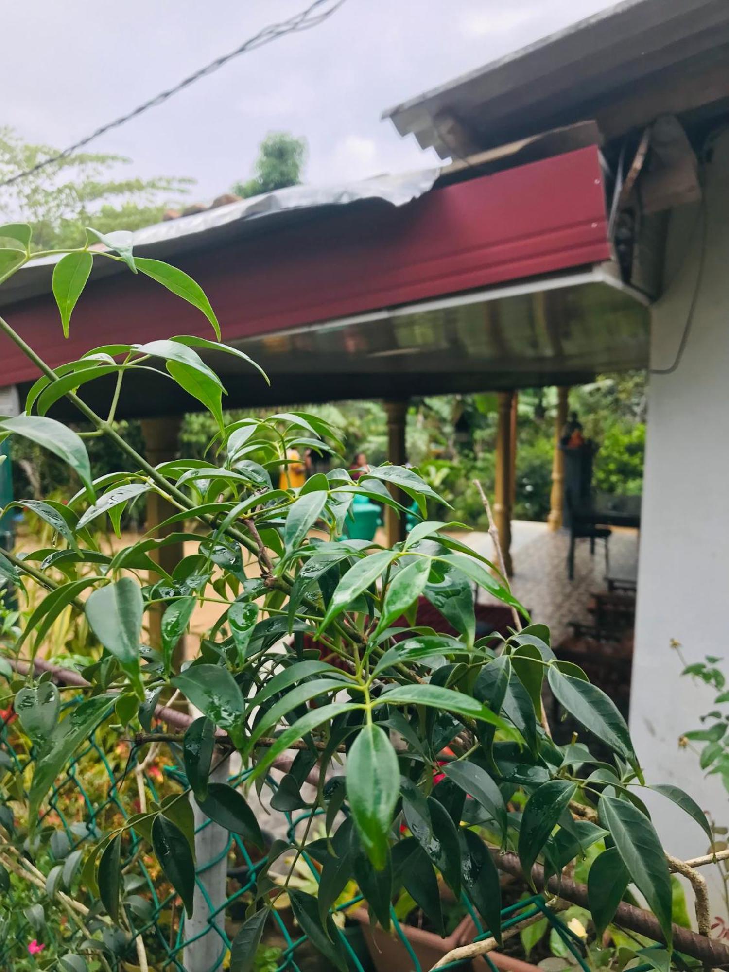 Cinnamon Homestay Елла Екстер'єр фото