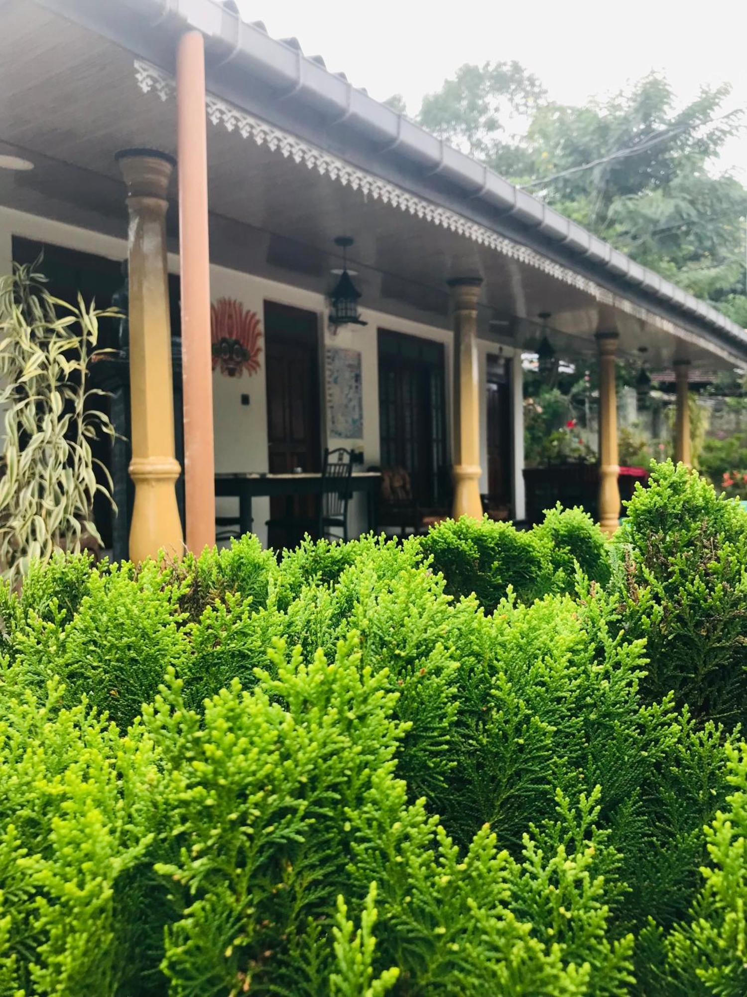 Cinnamon Homestay Елла Екстер'єр фото