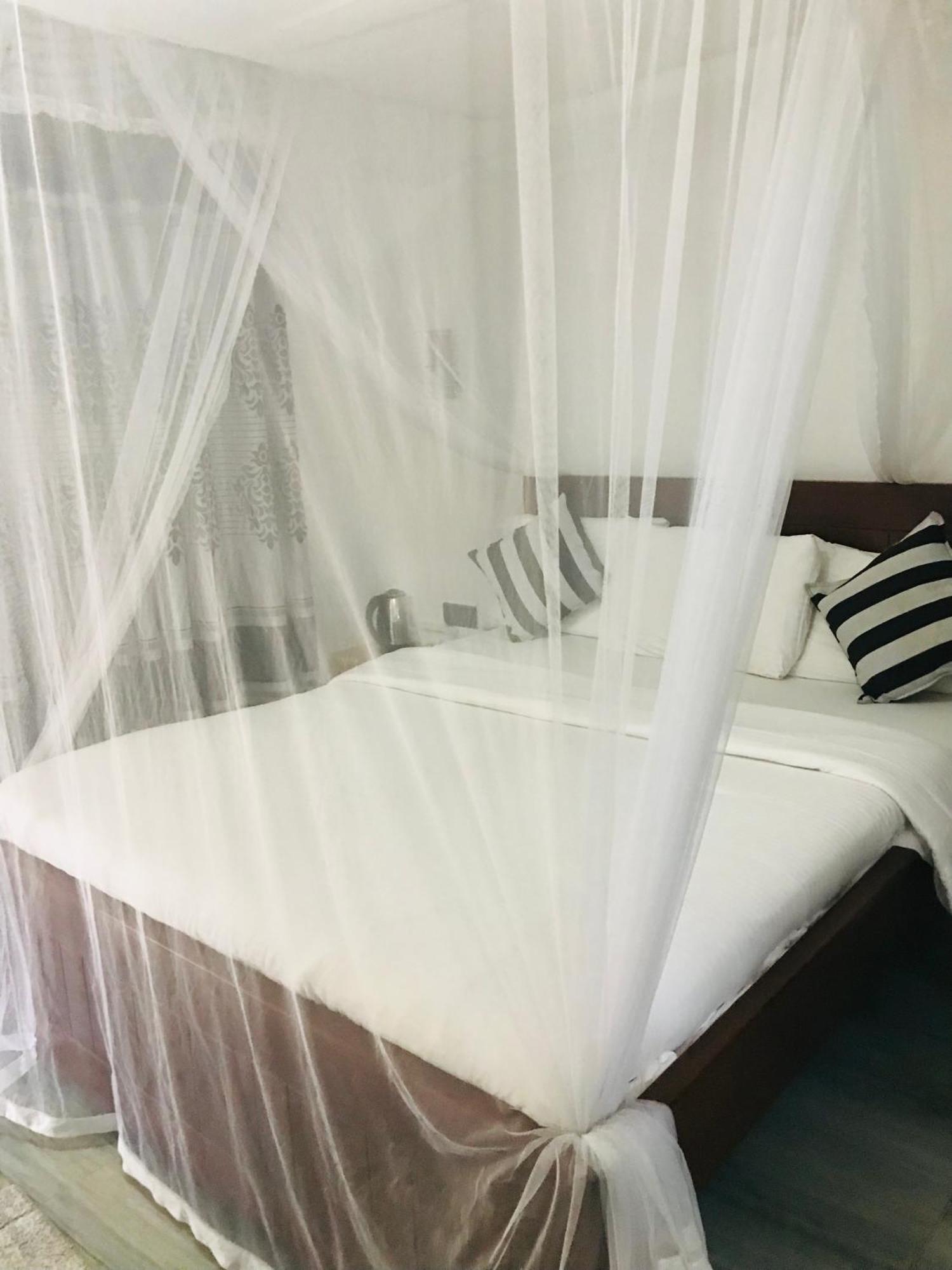 Cinnamon Homestay Елла Екстер'єр фото