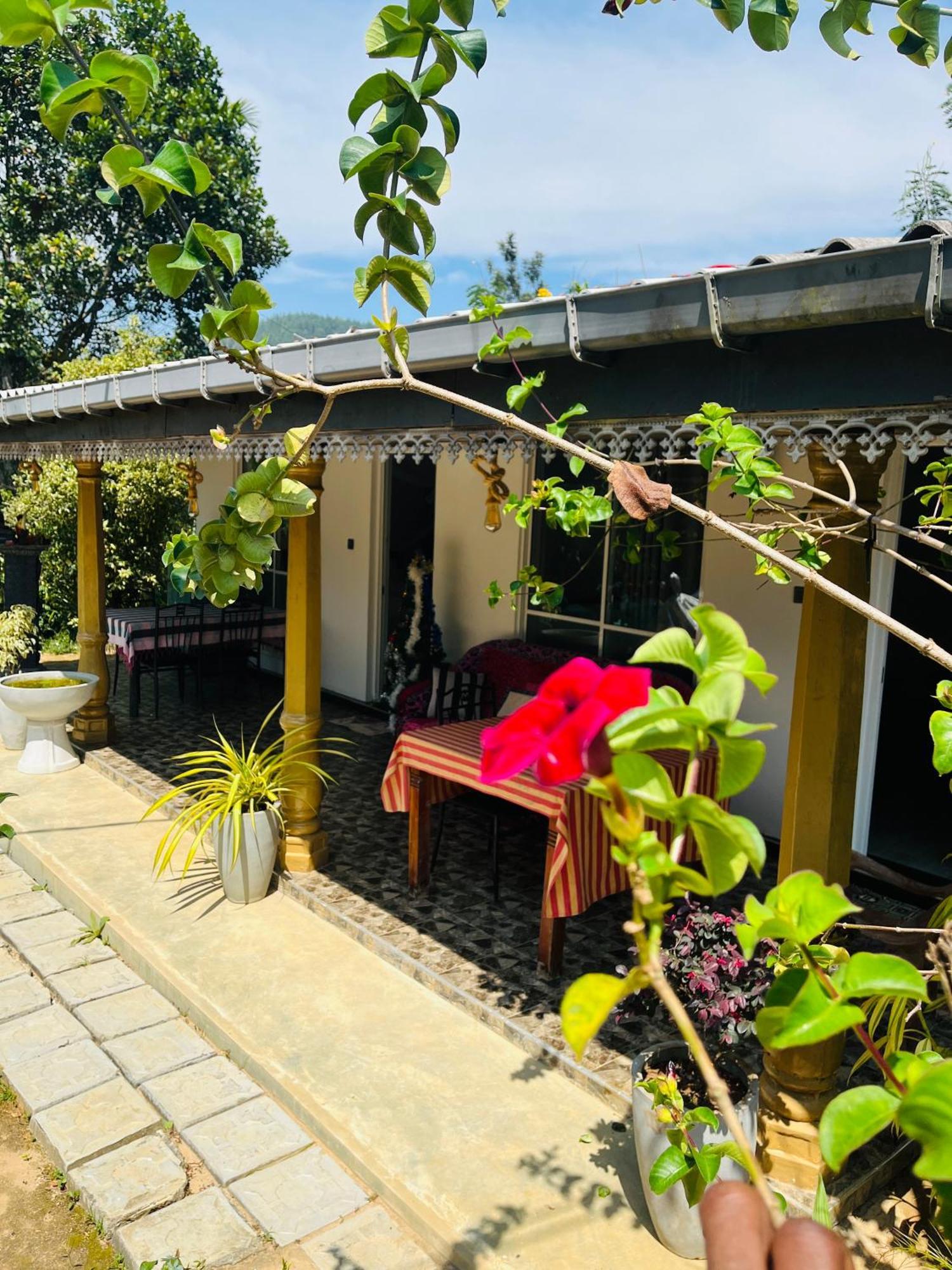Cinnamon Homestay Елла Екстер'єр фото